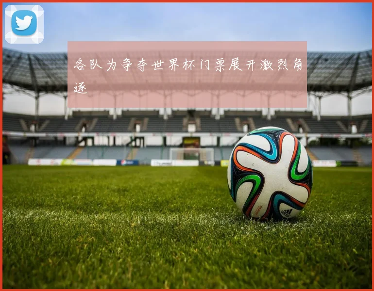 各队为争夺世界杯门票展开激烈角逐